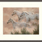 Above the Clouds Limited Edition Paper Print - Wild Wings