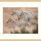 Above the Clouds Limited Edition Paper Print - Wild Wings