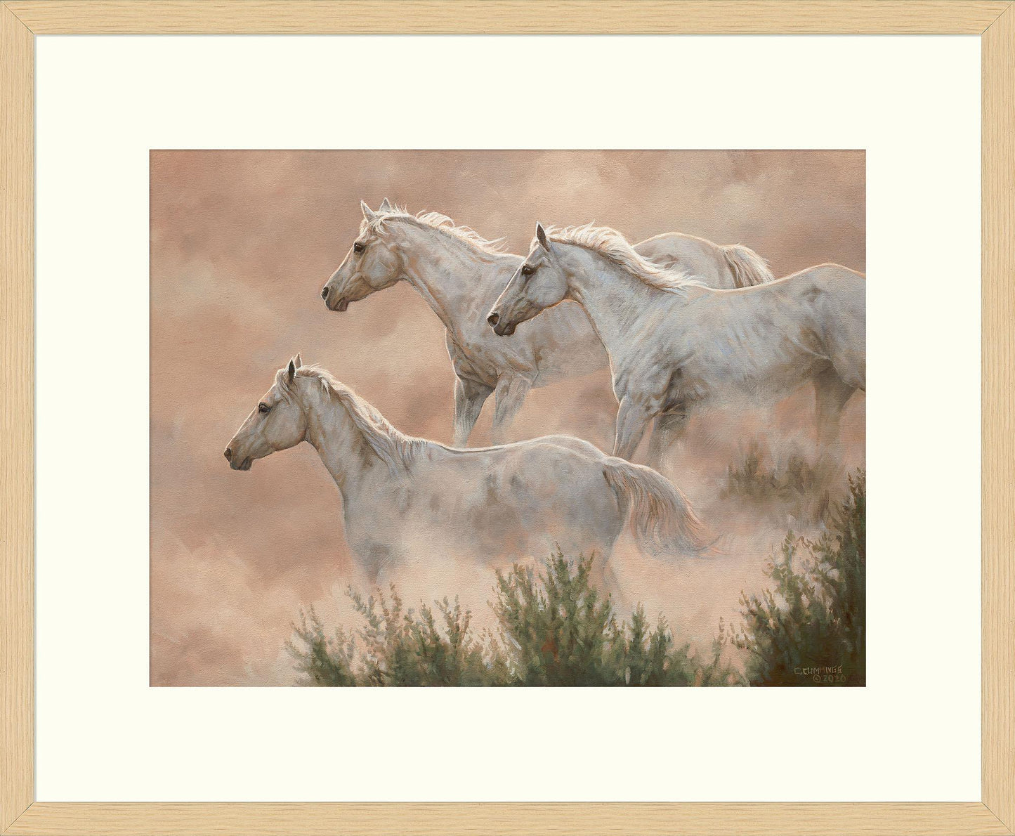 Above the Clouds Limited Edition Paper Print - Wild Wings