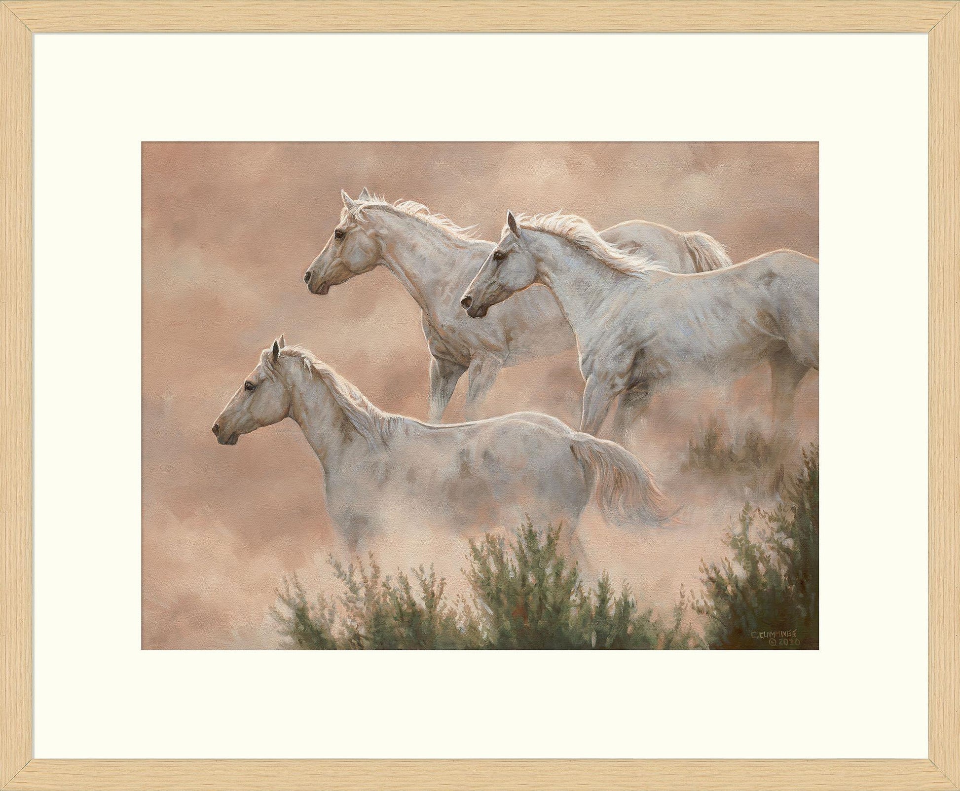Above the Clouds Limited Edition Paper Print - Wild Wings