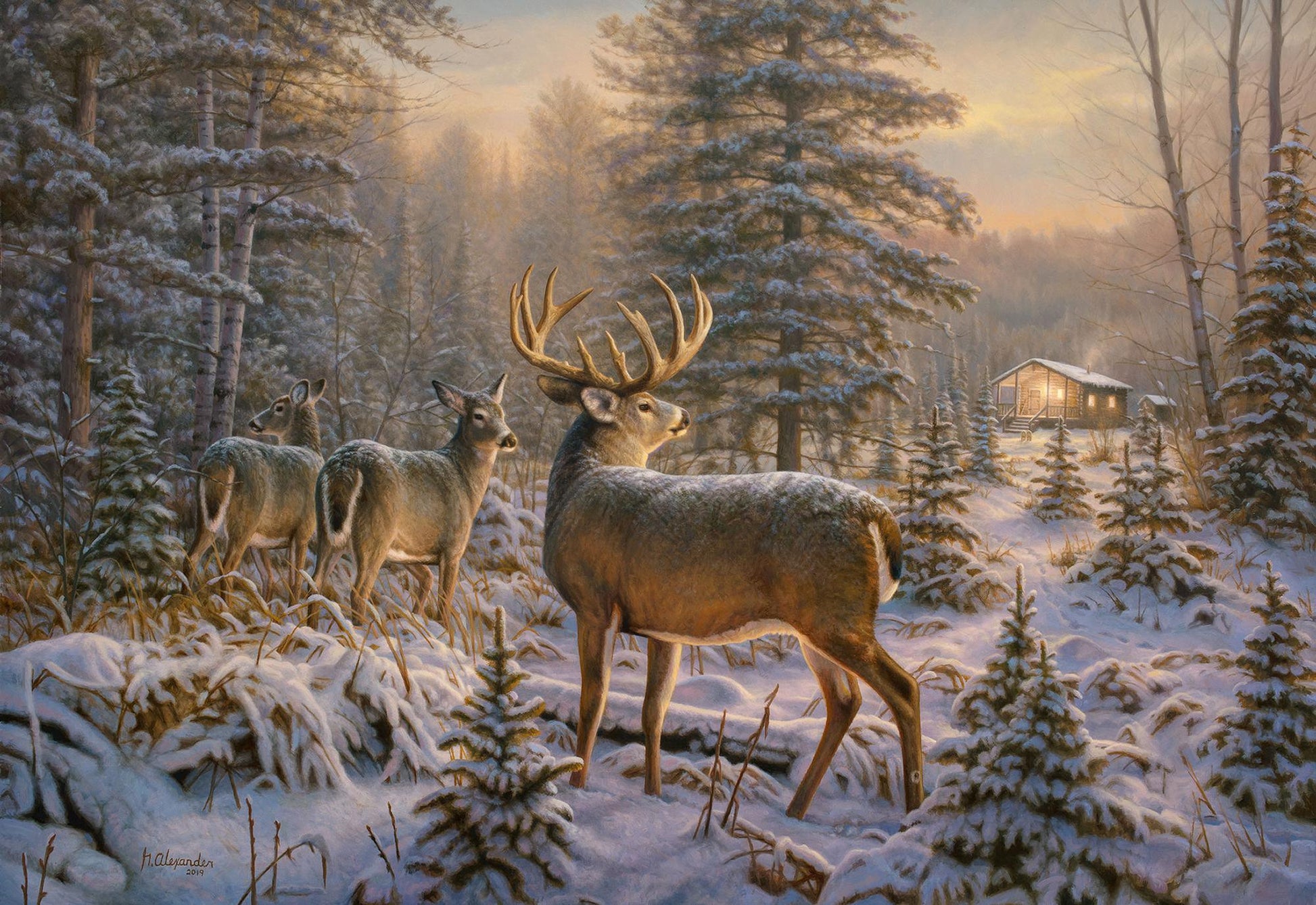 After Hours—Deer Shack Paper Print - Wild Wings