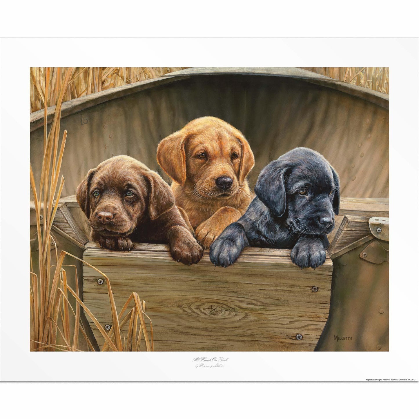 All Hands on Deck—Three Puppies Artist Proof Paper Print - Wild Wings