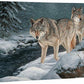 Along the Creekside—Wolves Gallery Wrapped Canvas - Wild Wings