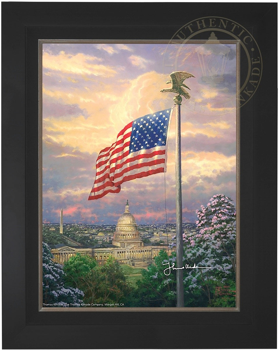 amepri_25x34_citblk4.jpg