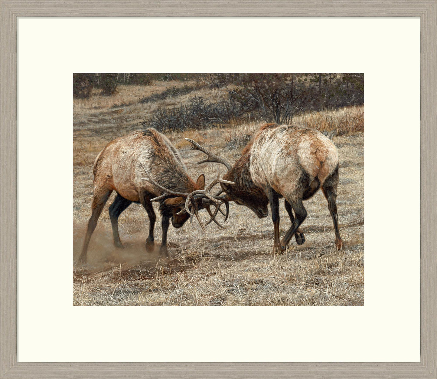 Anything for Love-Elk - 24" x 36" Framed Gallery Canvas