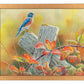 Autumn Vista - Art Prints