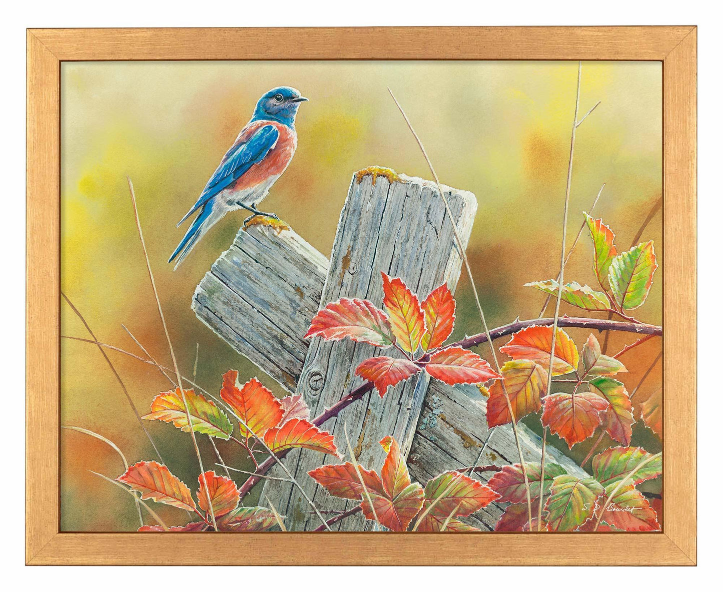 Autumn Vista - Art Prints