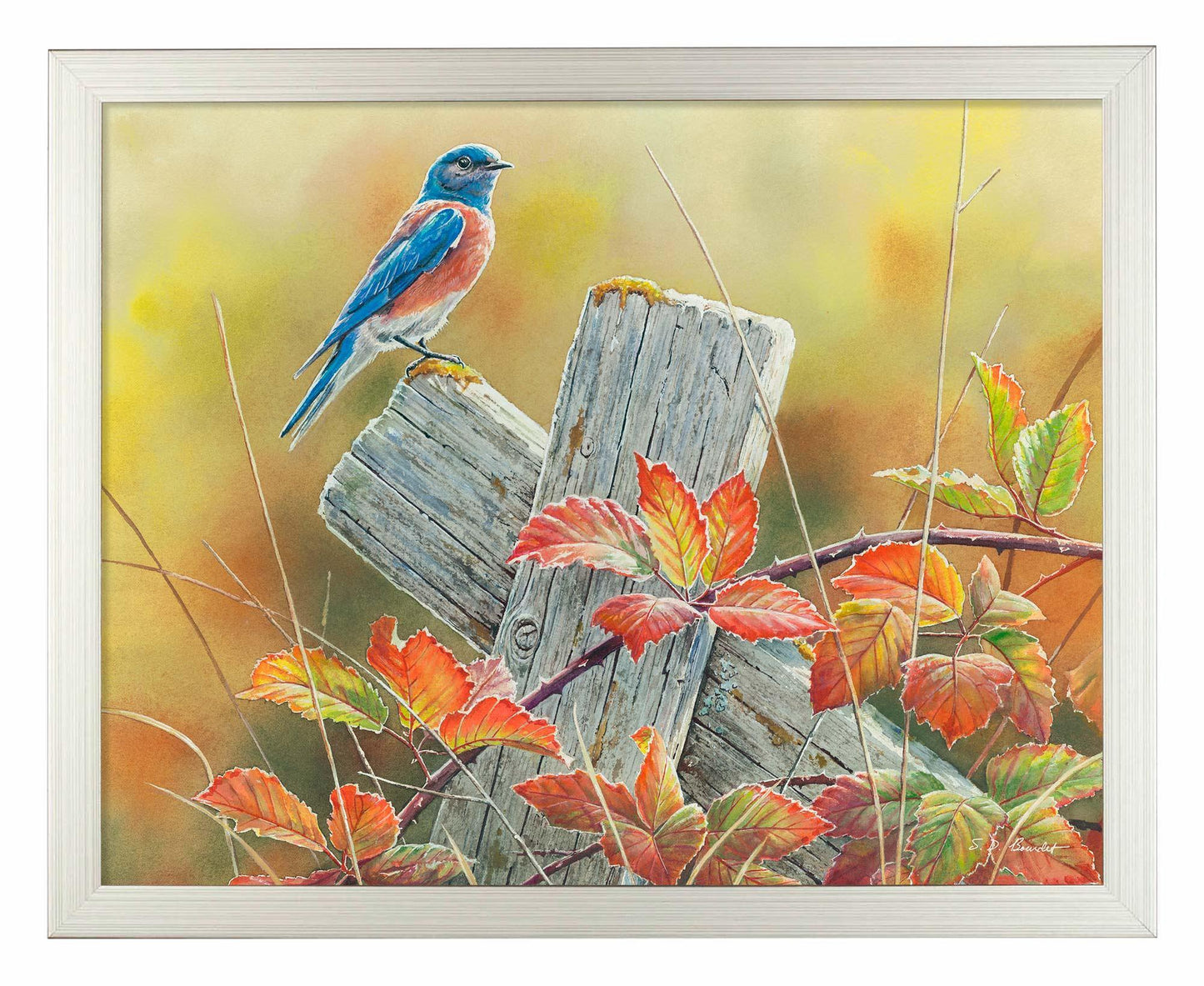 Autumn Vista - Art Prints