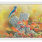 Autumn Vista—Western Bluebird Art Print - Wild Wings