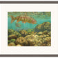 Baetis Feast—Rainbow Trout Limited Edition Paper Print - Wild Wings