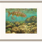 Baetis Feast—Rainbow Trout - Limited Edition Paper