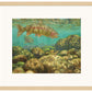 Baetis Feast—Rainbow Trout Limited Edition Paper Print - Wild Wings