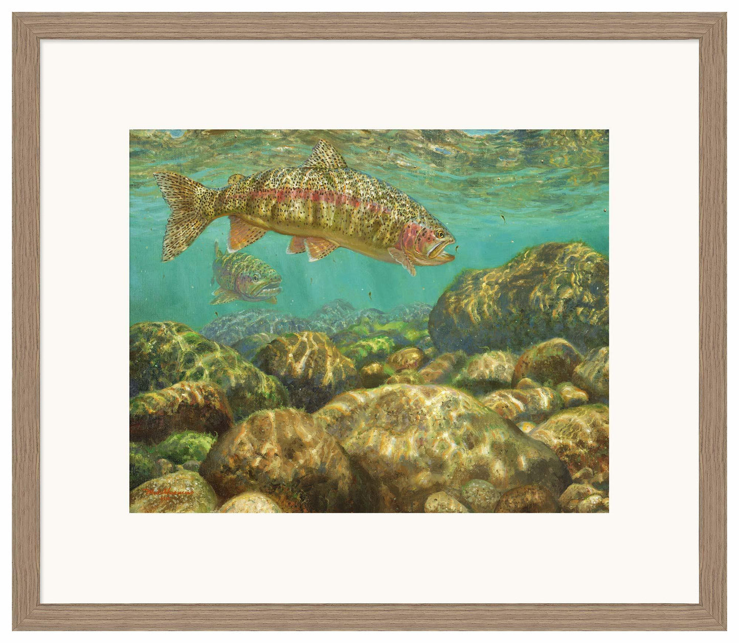 Baetis Feast—Rainbow Trout - Limited Edition Paper