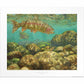 Baetis Feast—Rainbow Trout Limited Edition Paper Print - Wild Wings