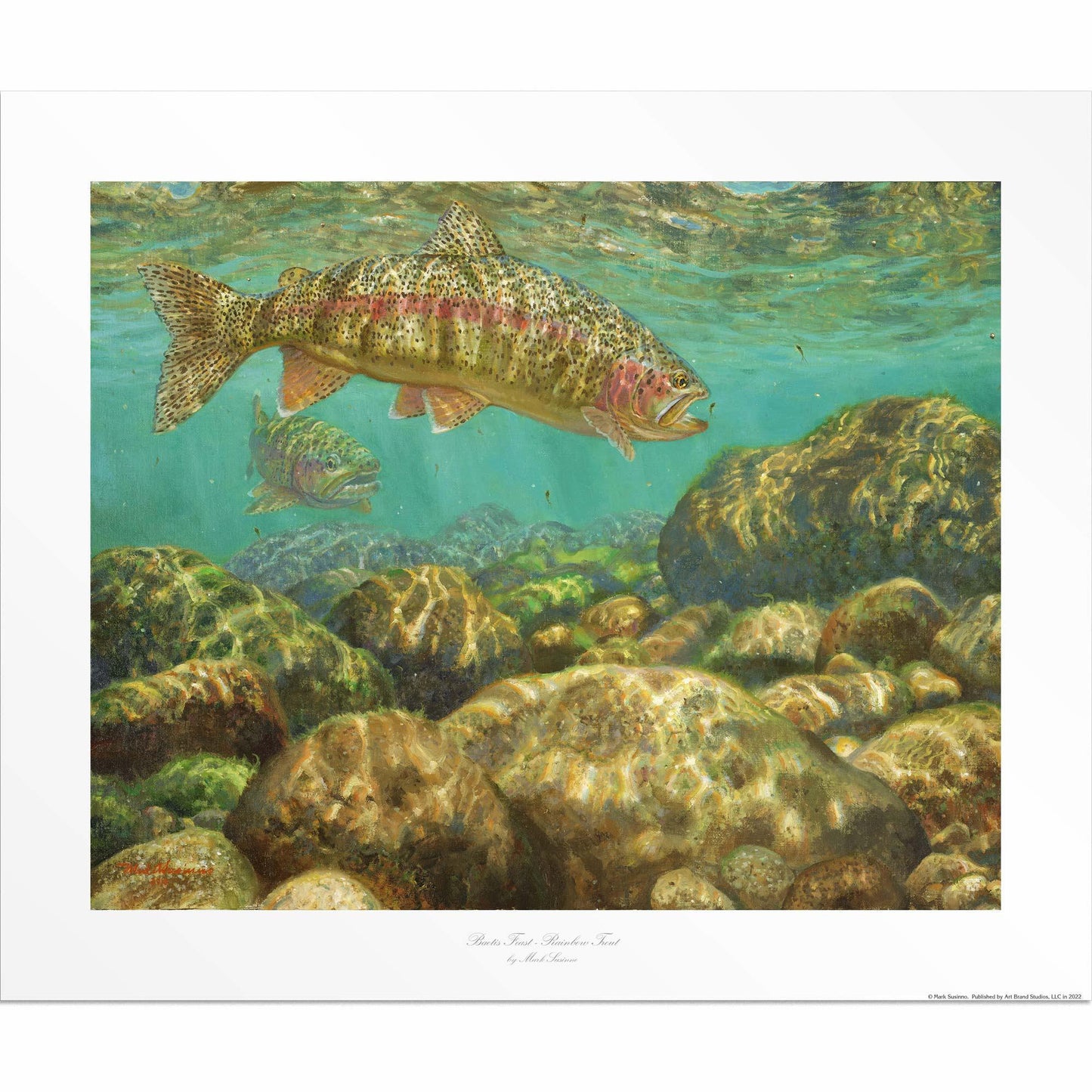 Baetis Feast—Rainbow Trout Limited Edition Paper Print - Wild Wings
