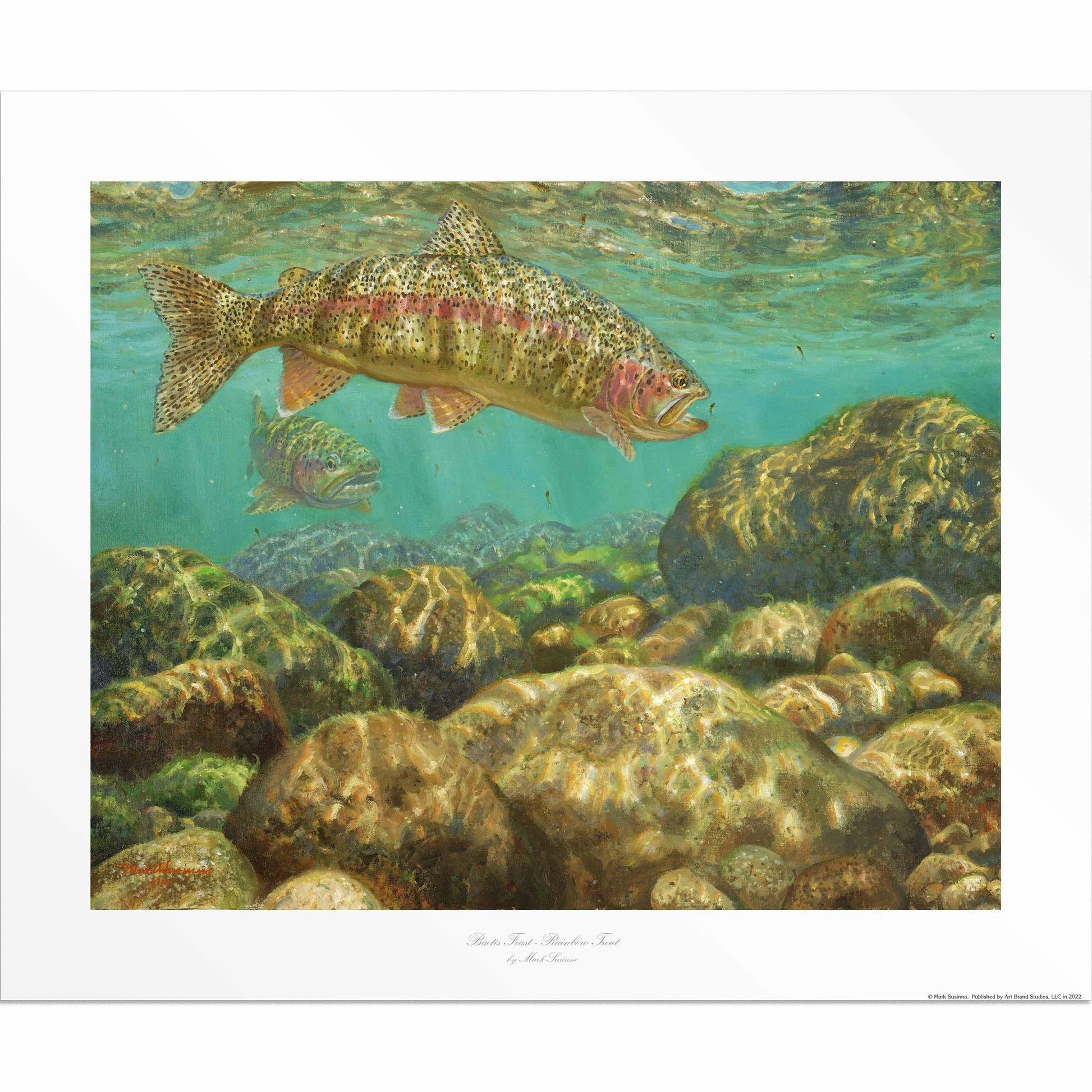 Baetis Feast—Rainbow Trout Limited Edition Paper Print - Wild Wings