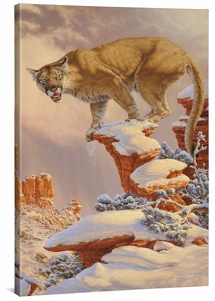 Balance Rock—Cougar Gallery Wrapped Canvas - Wild Wings