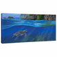 Big Island—Sea Turtle Gallery Wrapped Canvas - Wild Wings