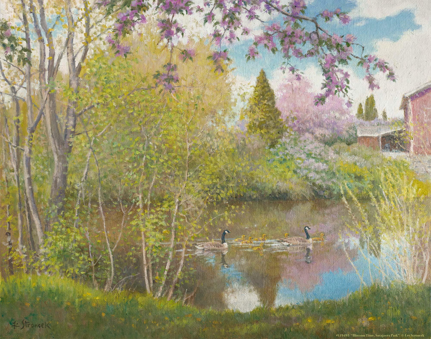 Blossom Time, Sacajawea Park Art Print - Wild Wings