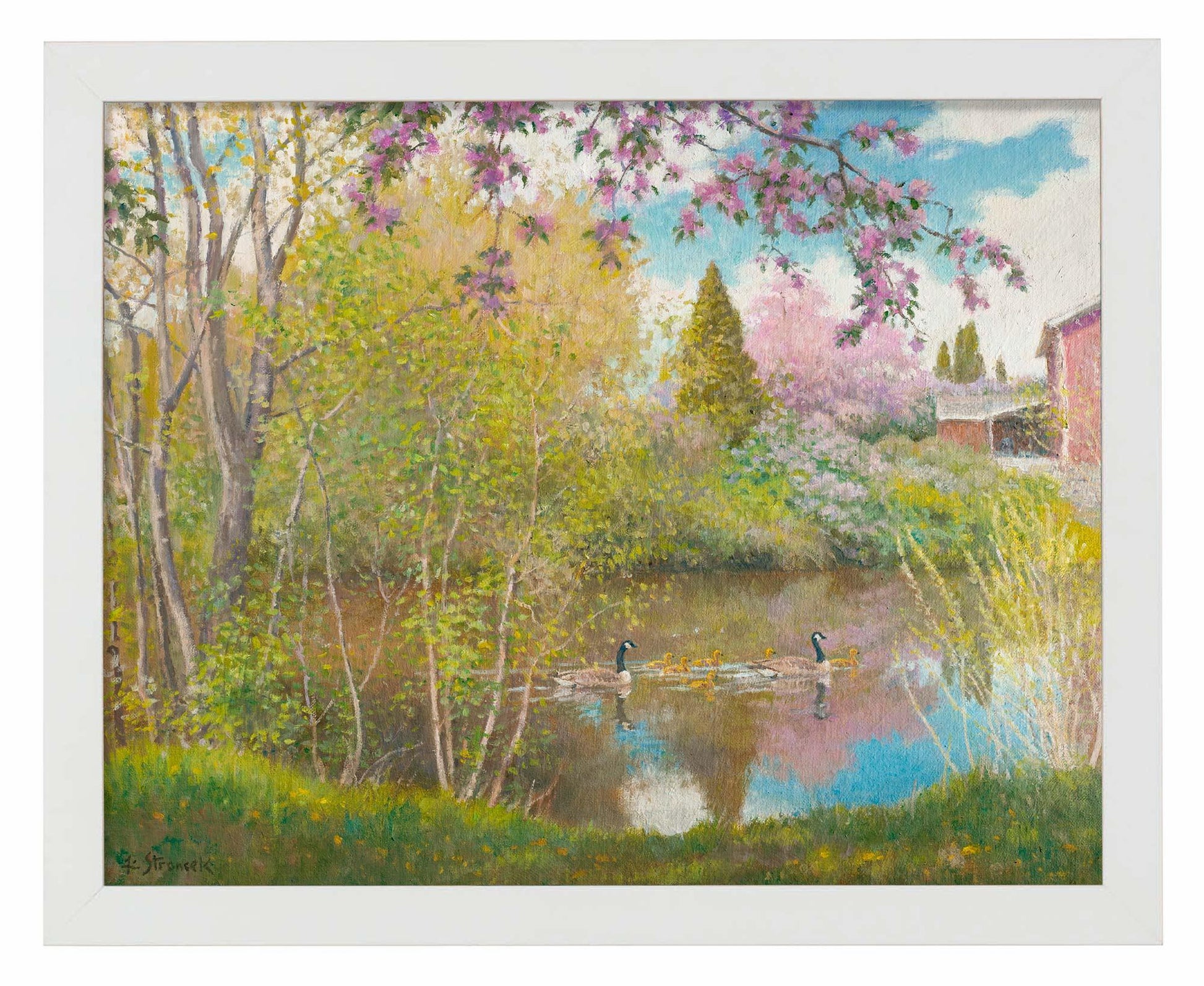 Blossom Time, Sacajawea Park Art Print - Wild Wings