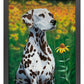 Blossoms of Color—Dalmatian Art Print - Wild Wings