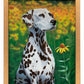 Blossoms of Color—Dalmatian