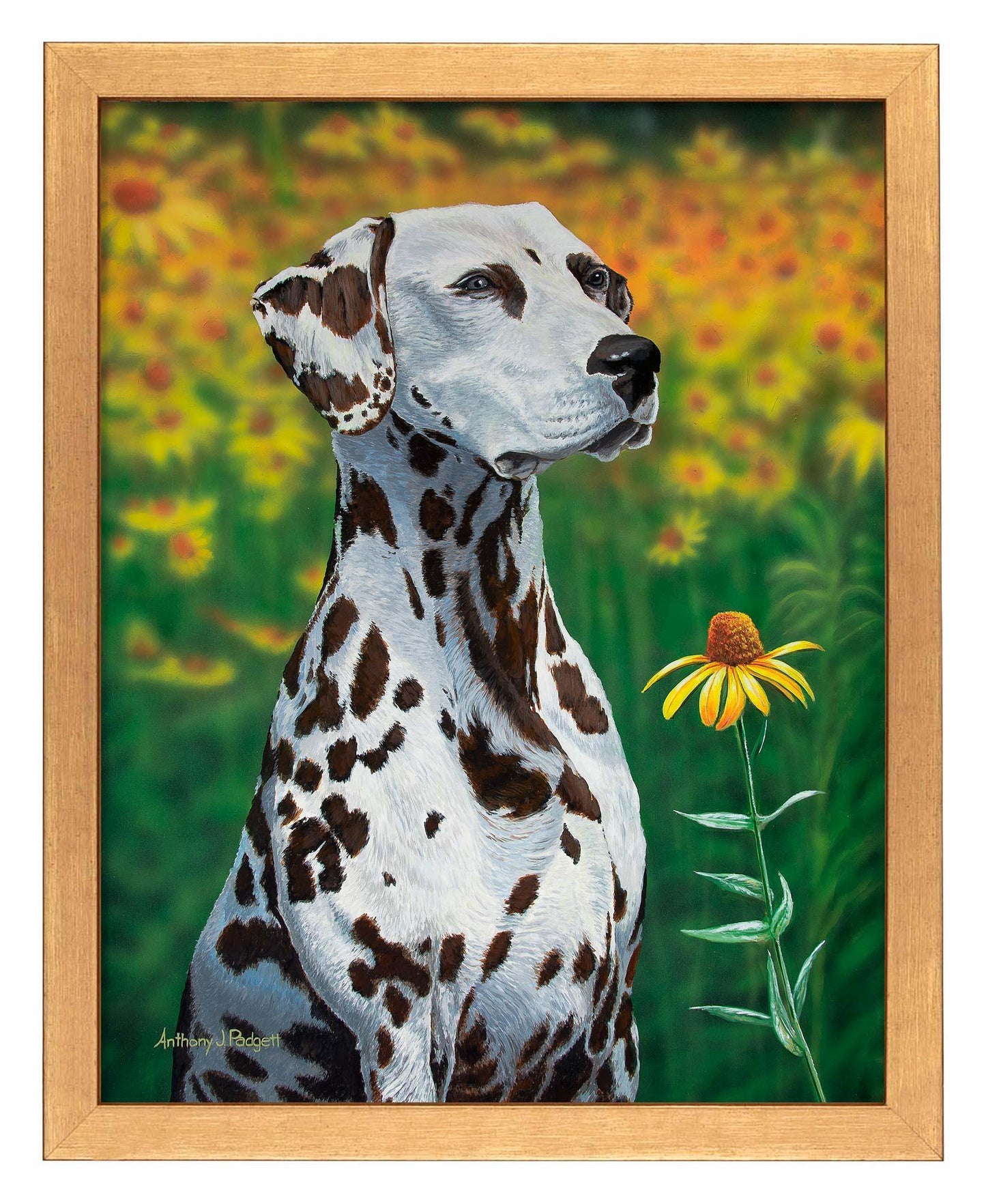 Blossoms of Color—Dalmatian