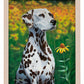 Blossoms of Color—Dalmatian Art Print - Wild Wings