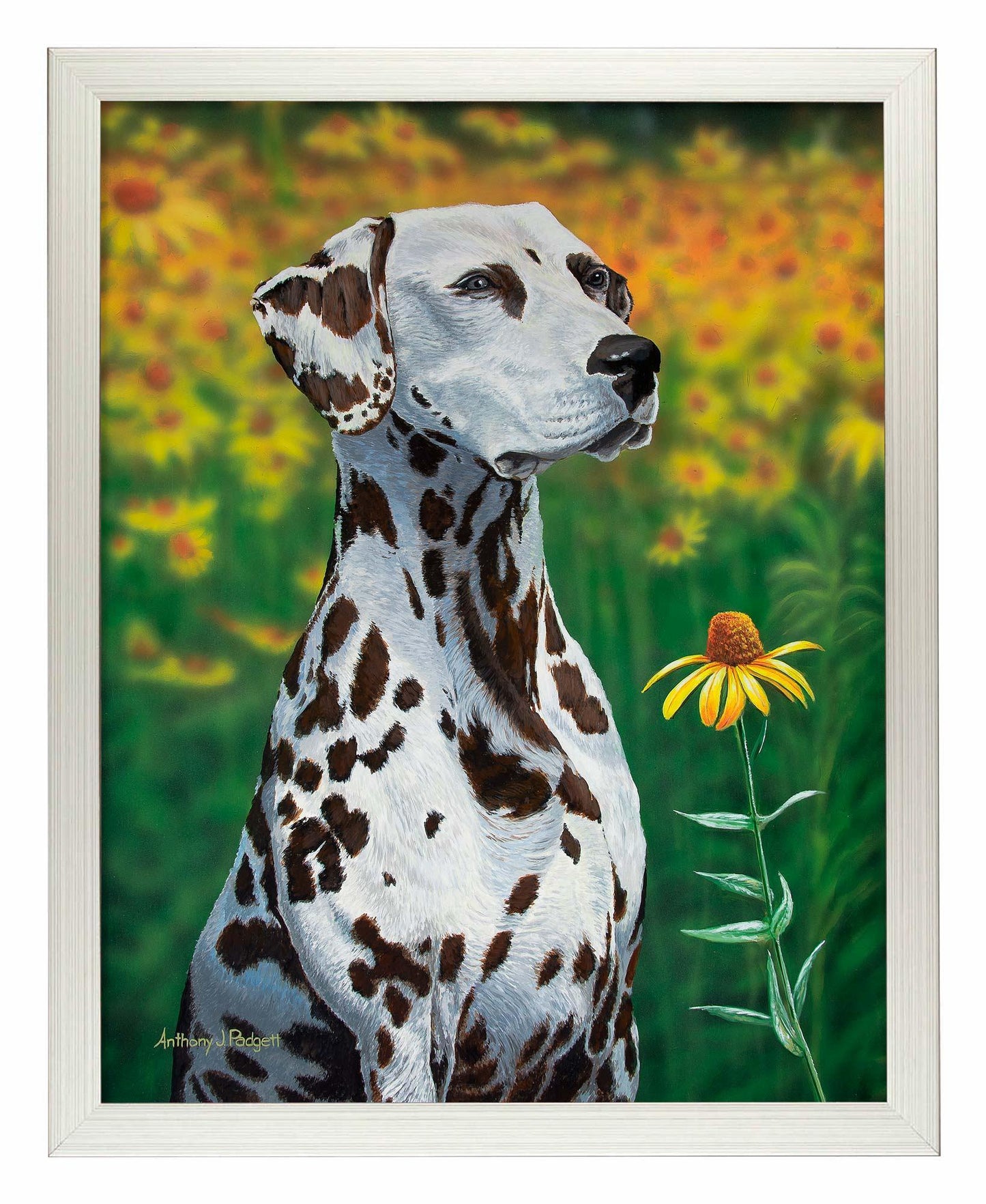 Blossoms of Color—Dalmatian