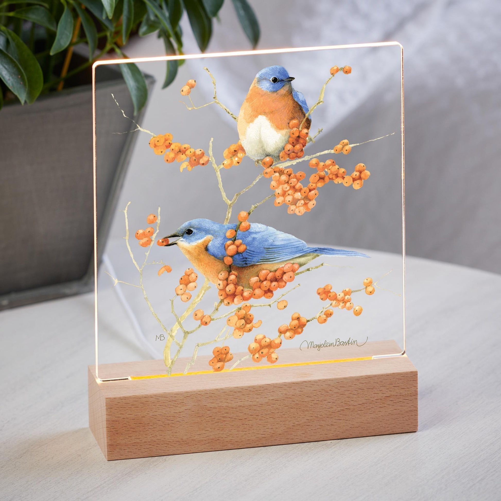 Bluebirds Acrylic Night Light - Wild Wings