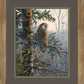 Boreal Twilight—Great Gray Owl Limited Edition Paper Print - Wild Wings