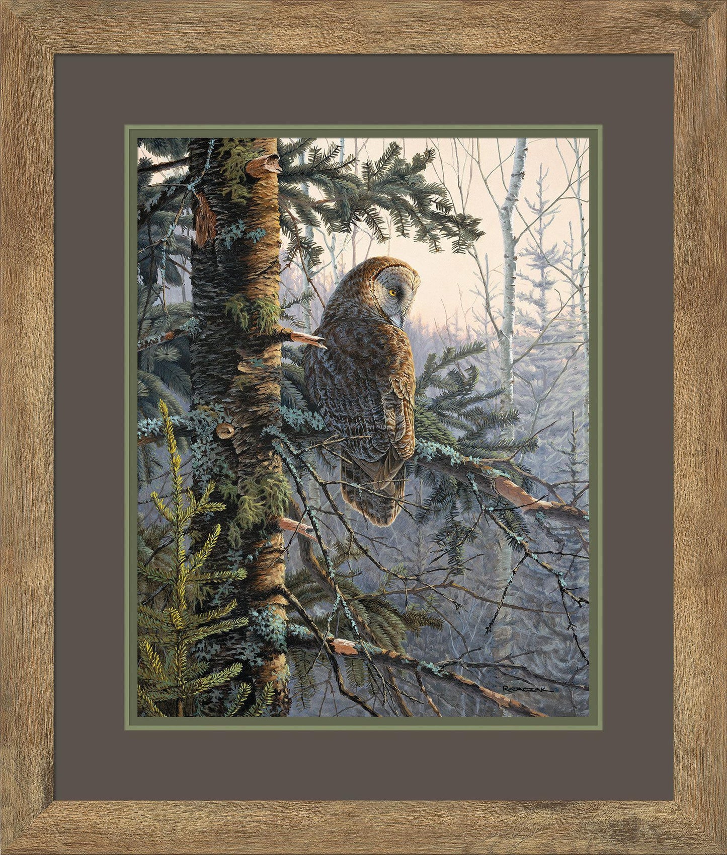Boreal Twilight—Great Gray Owl Limited Edition Paper Print - Wild Wings