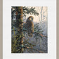 Boreal Twilight—Great Gray Owl Limited Edition Paper Print - Wild Wings