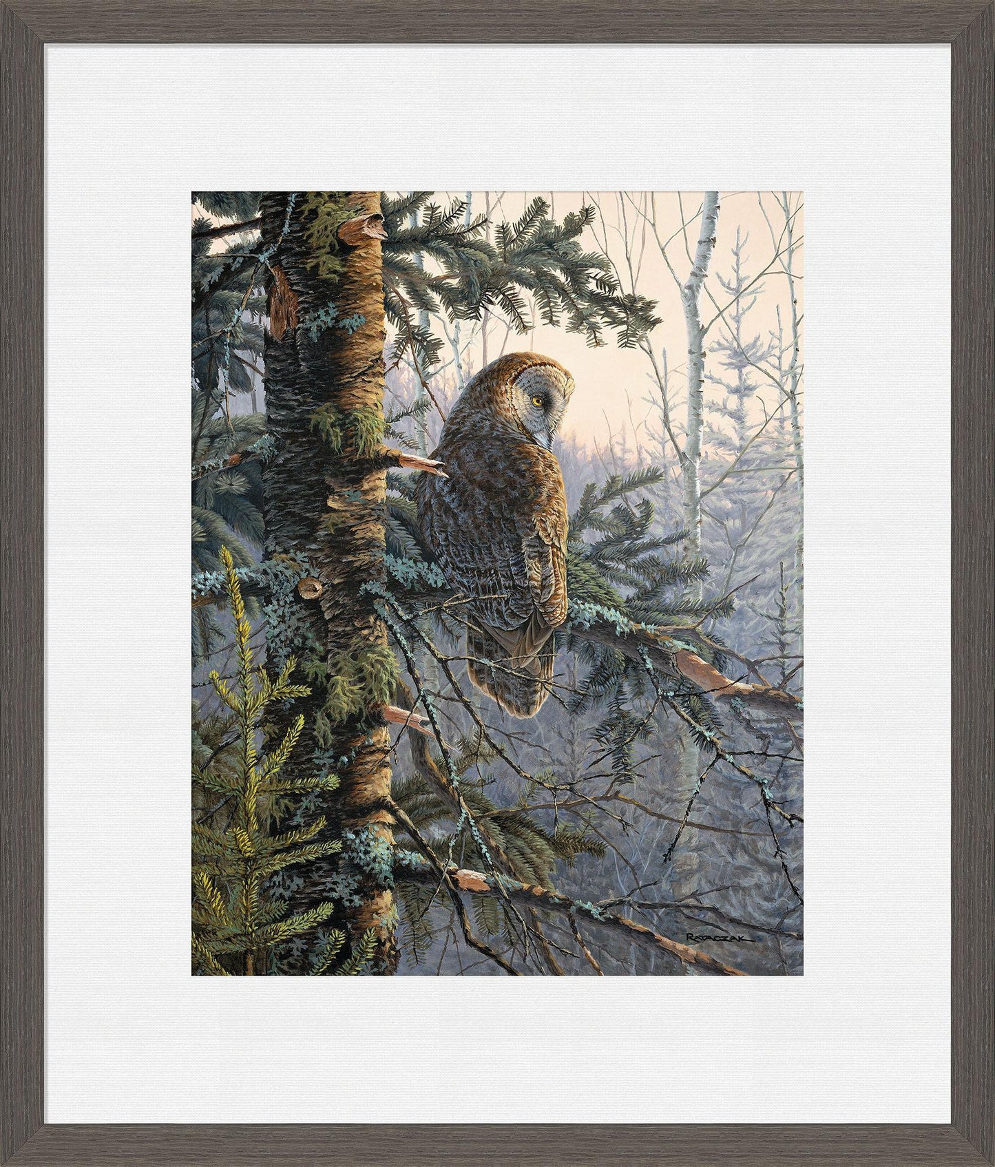 Boreal Twilight—Great Gray Owl