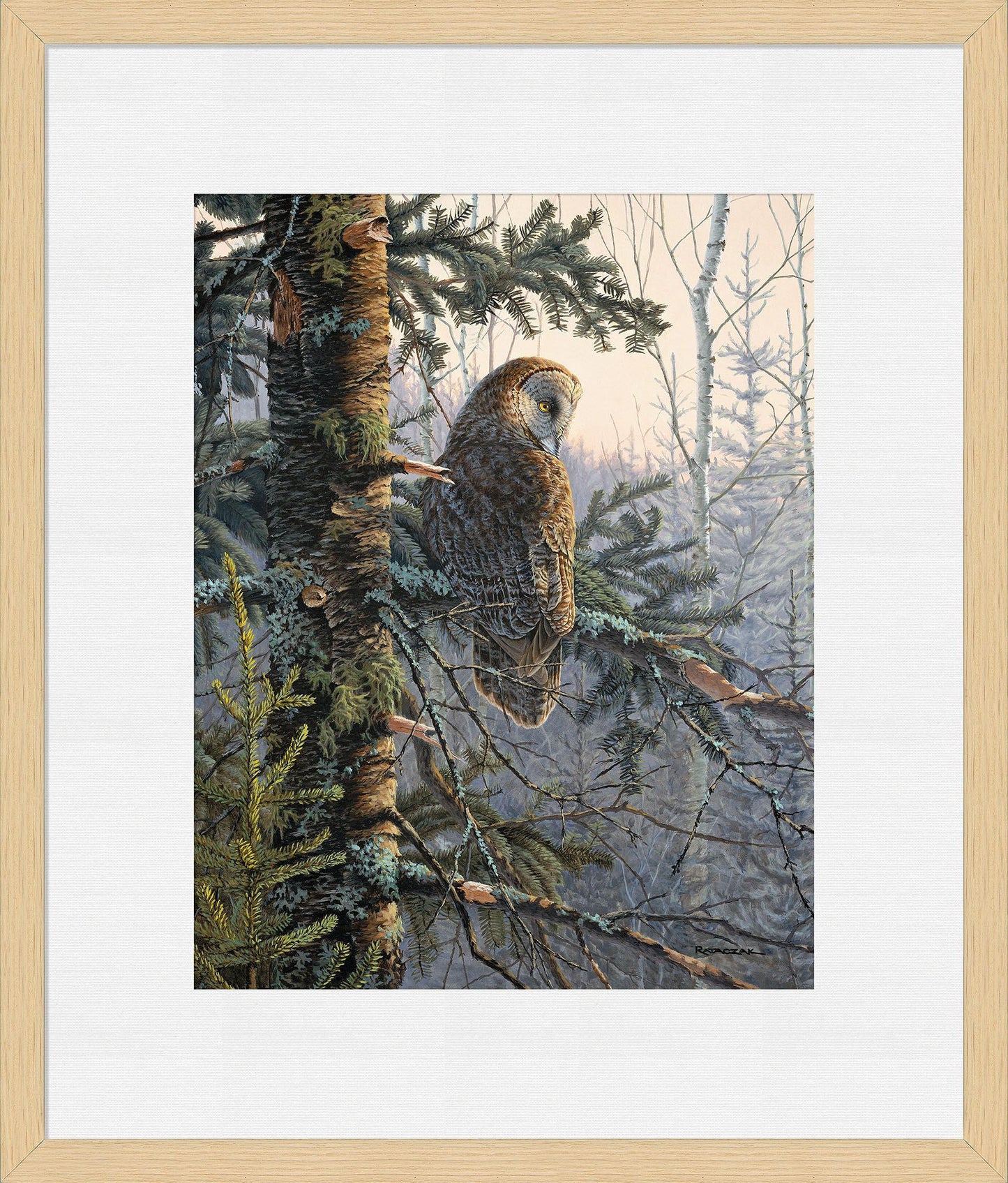 Boreal Twilight—Great Gray Owl