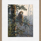 Boreal Twilight—Great Gray Owl