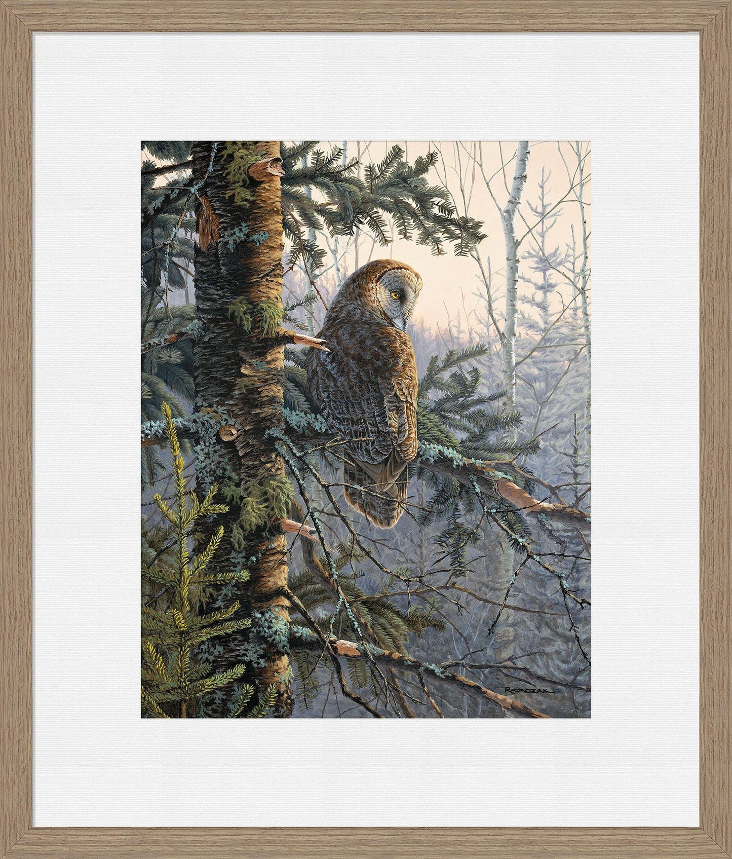 Boreal Twilight—Great Gray Owl