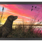 Breaking Cover—Chocolate Lab Art Print - Wild Wings