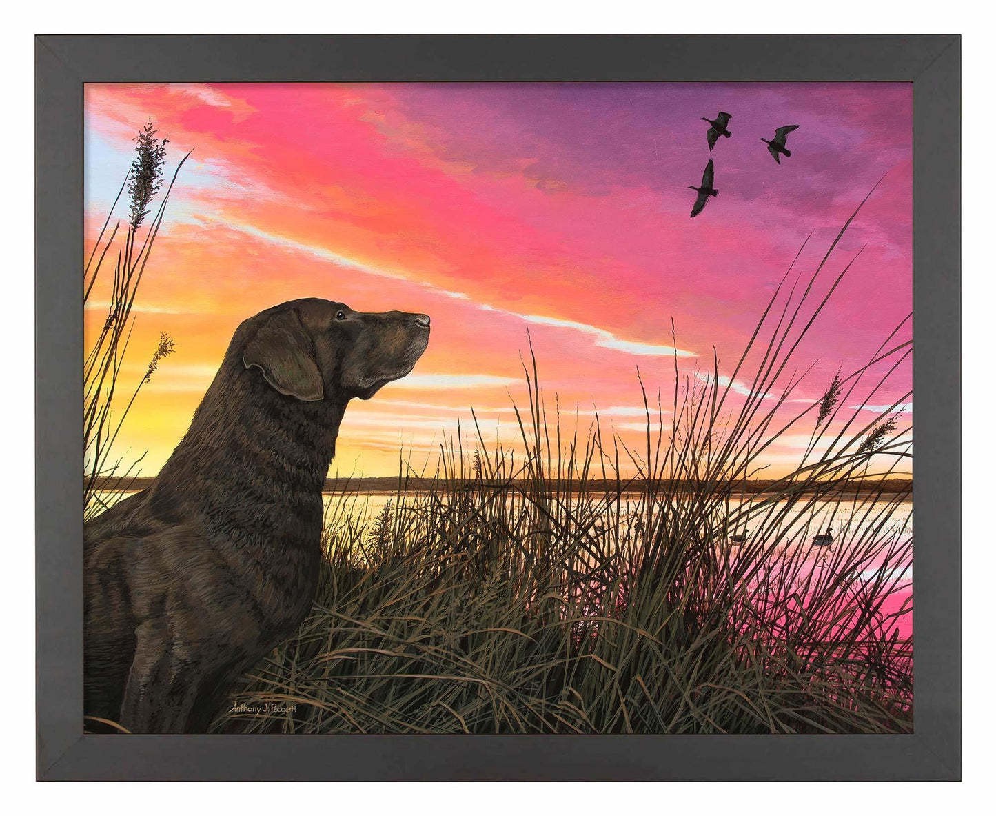 Breaking Cover—Chocolate Lab Art Print - Wild Wings