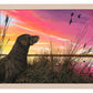 Breaking Cover—Chocolate Lab Art Print - Wild Wings