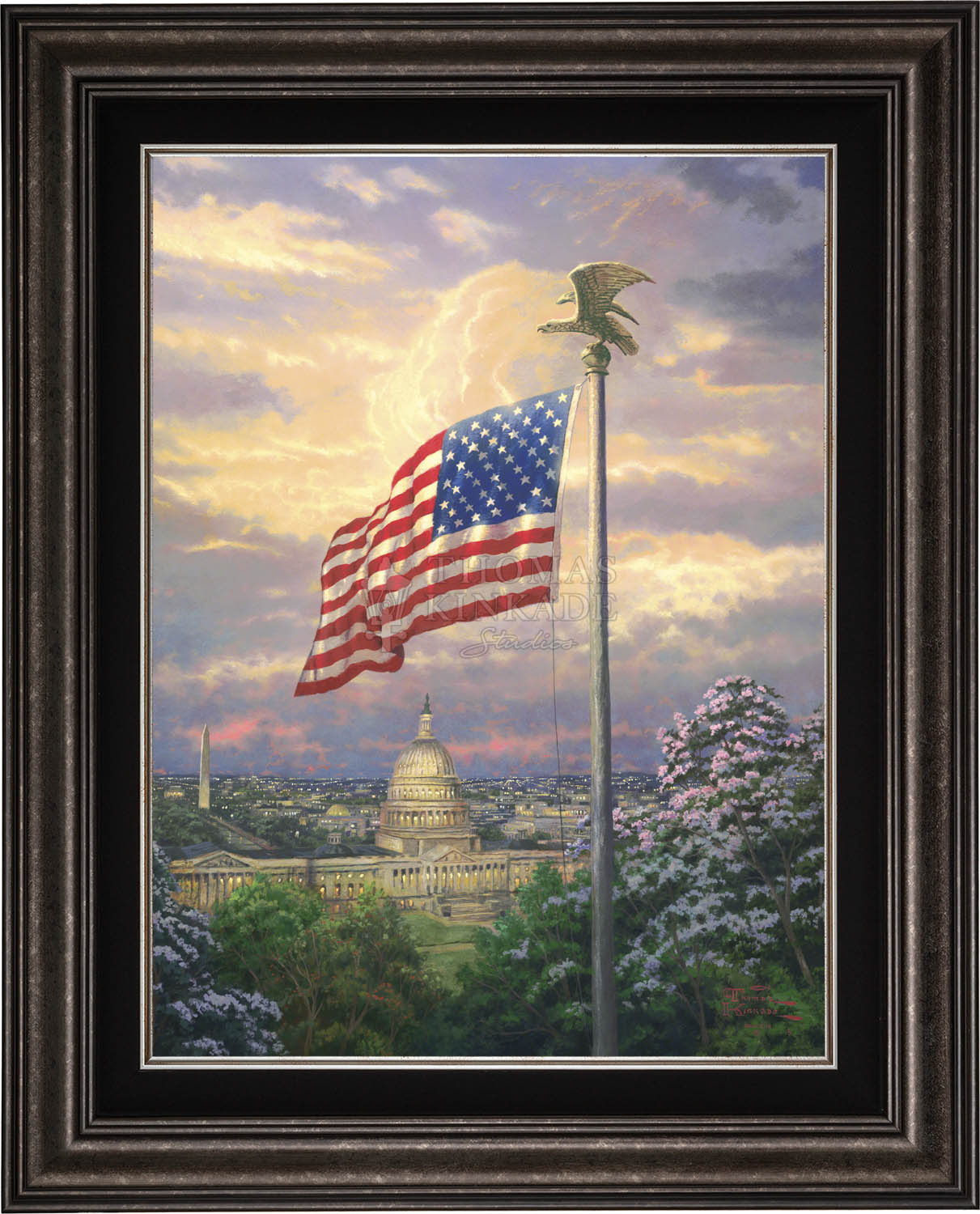 canvas_amepri_drkptr.jpg