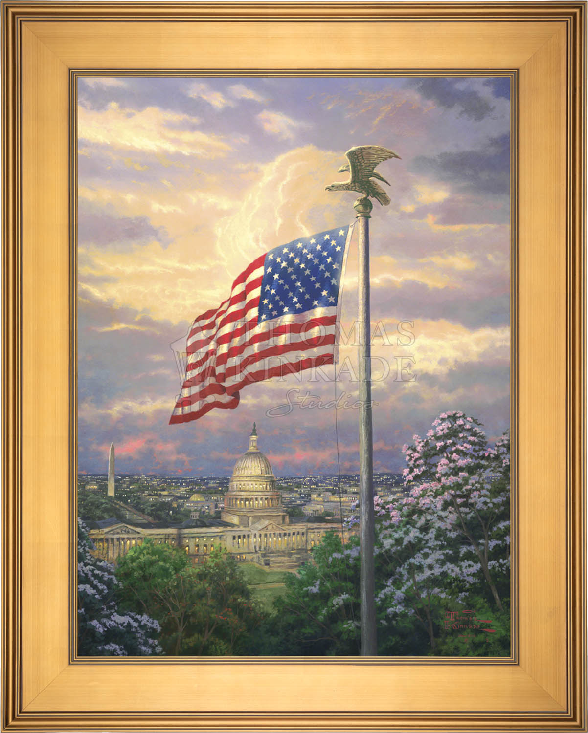 canvas_amepri_galgld-3.jpg