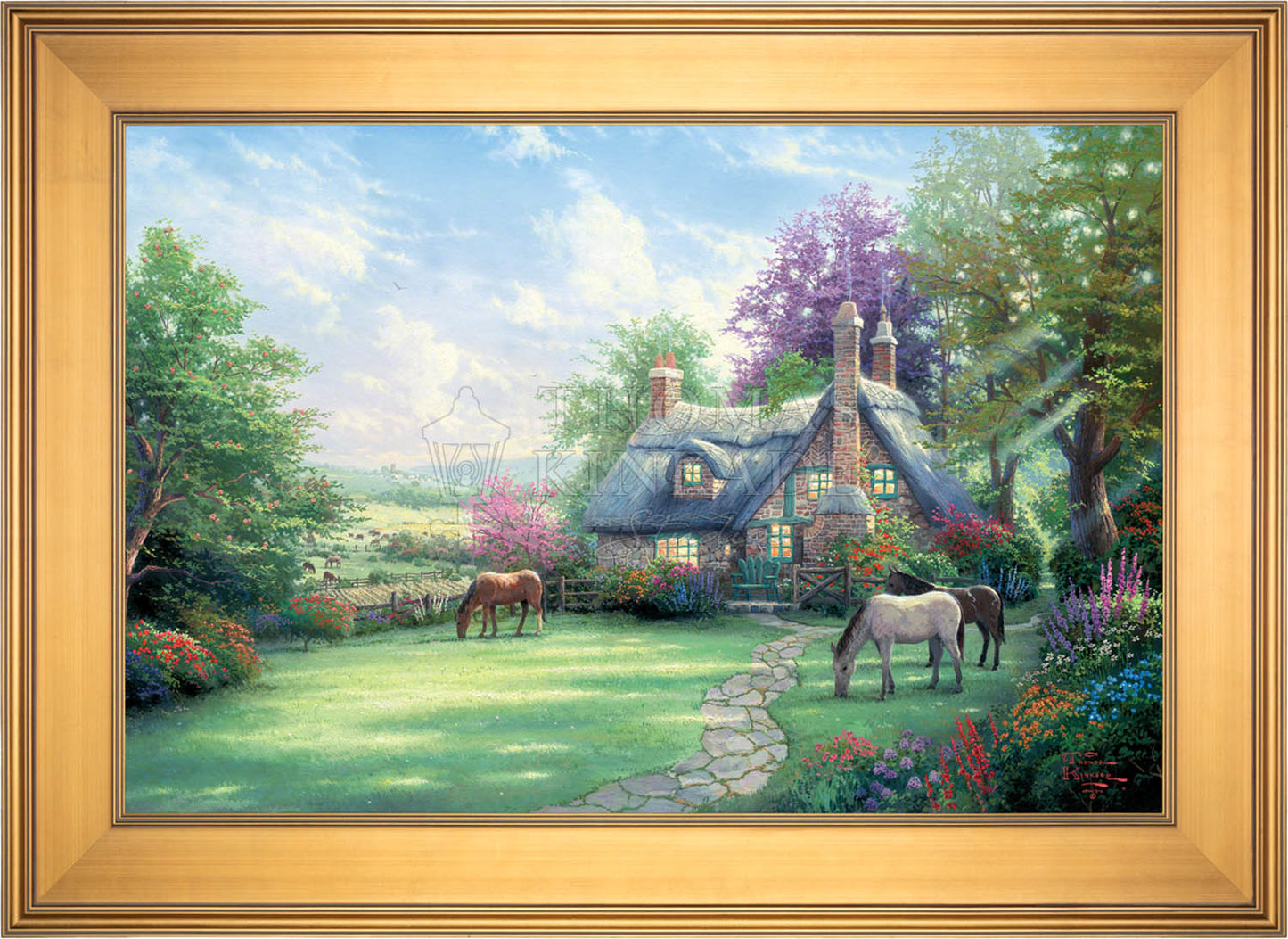 canvas_apesud_galgld-3.jpg