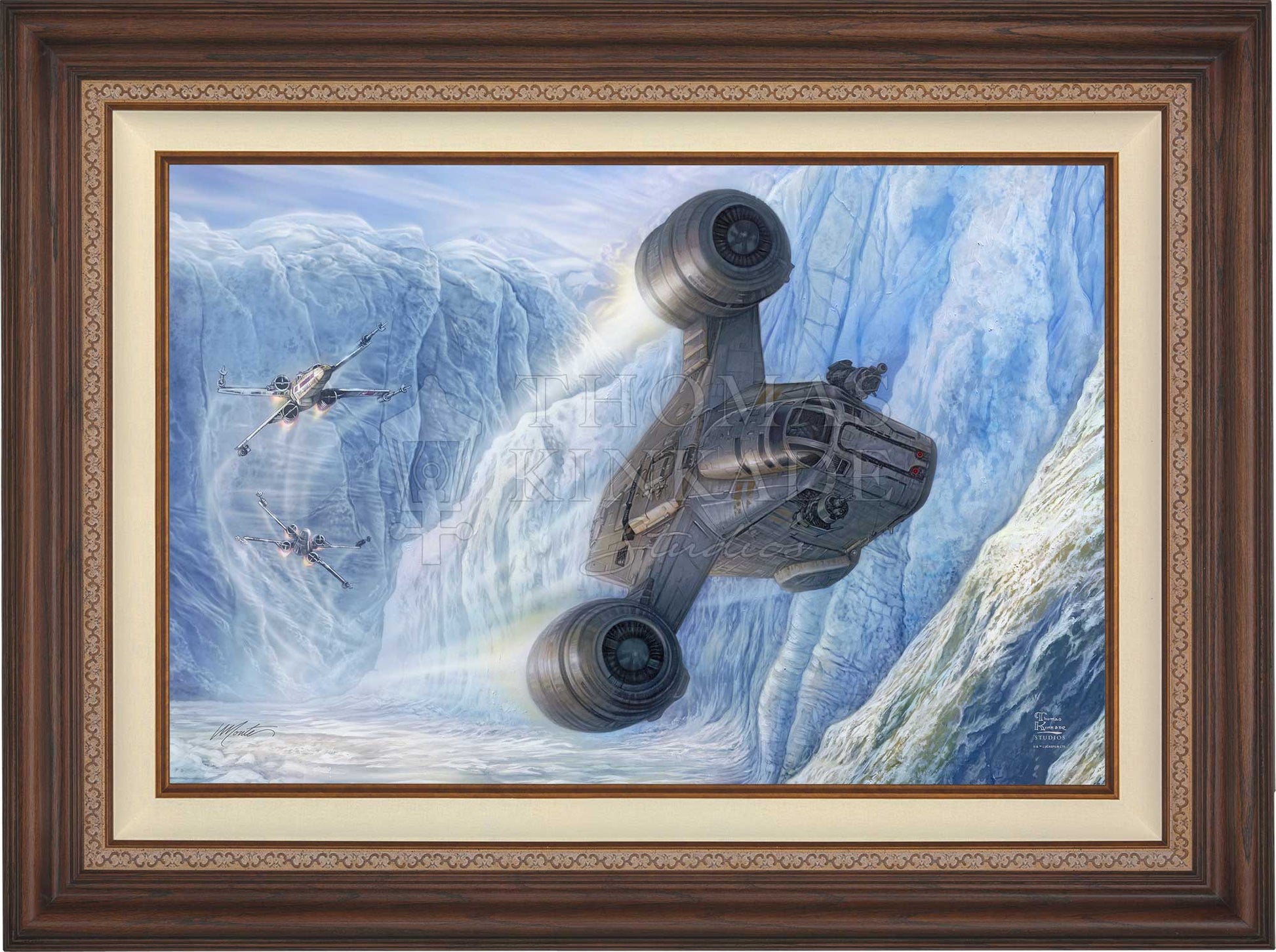 canvas_colpur_drkwal.jpg