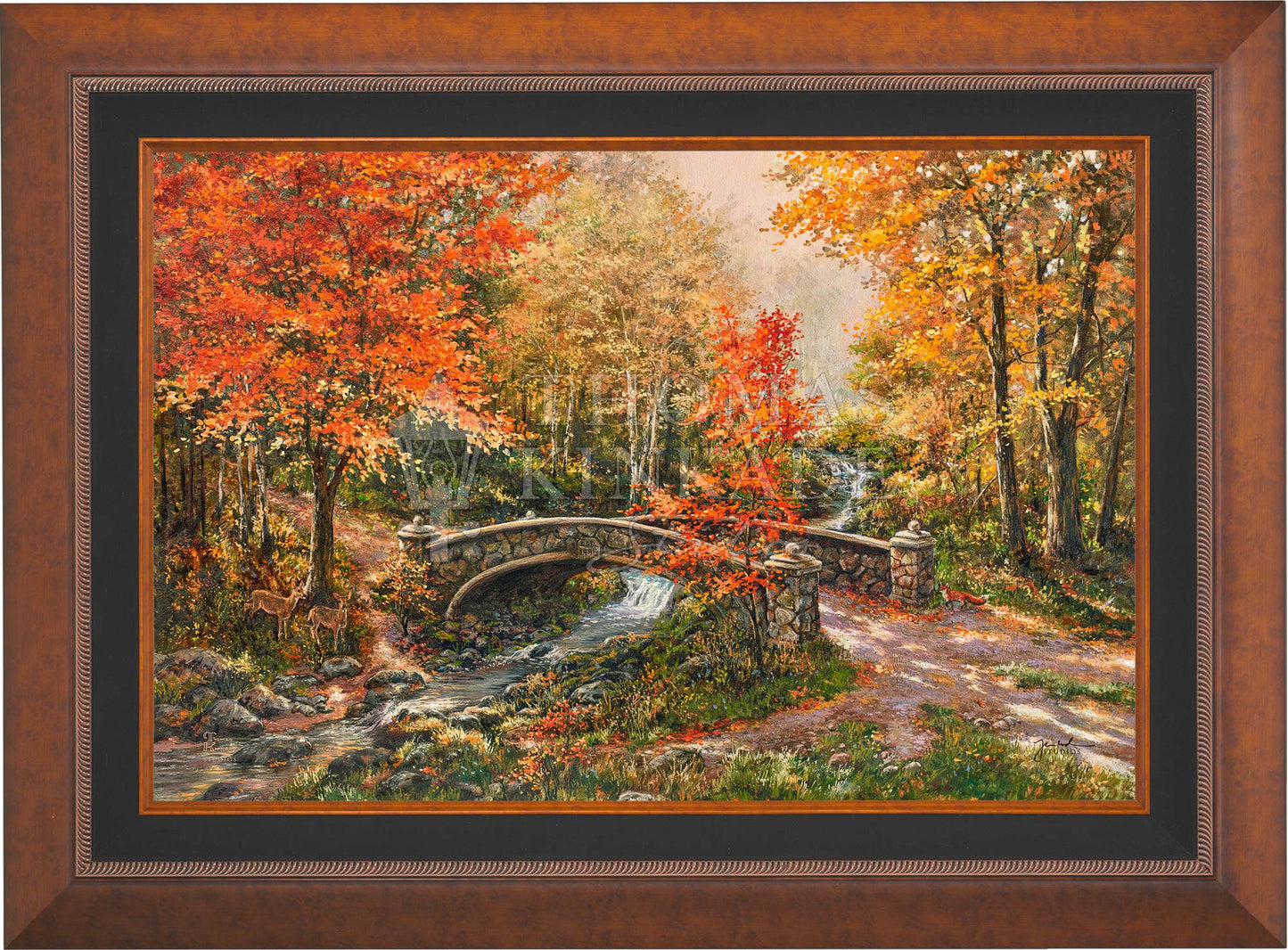 canvas_fafxcb_aurcop.jpg