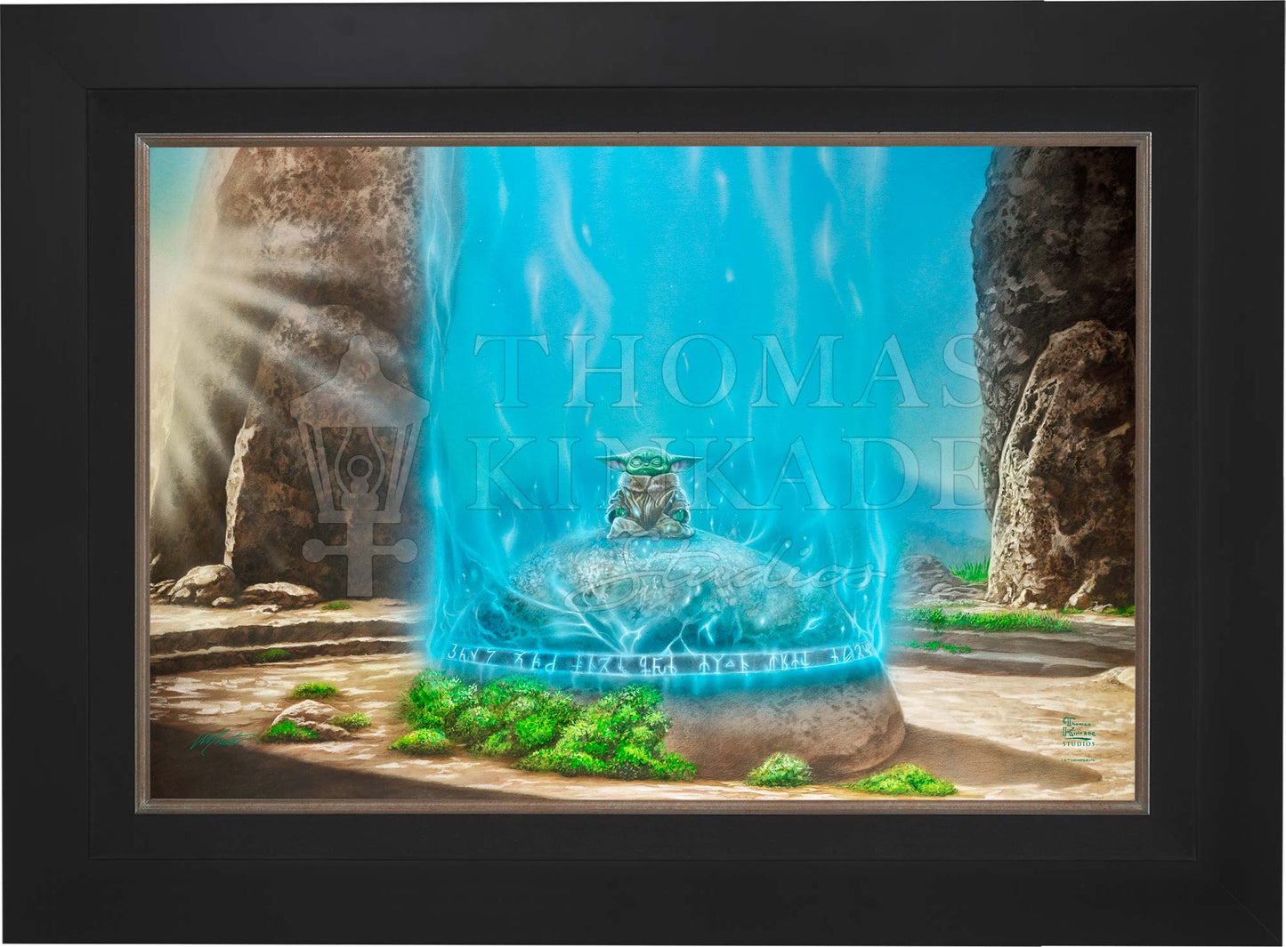 canvas_frcwth_citblk.jpg