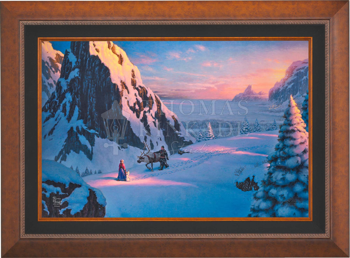 canvas_frozen_aurcop.jpg
