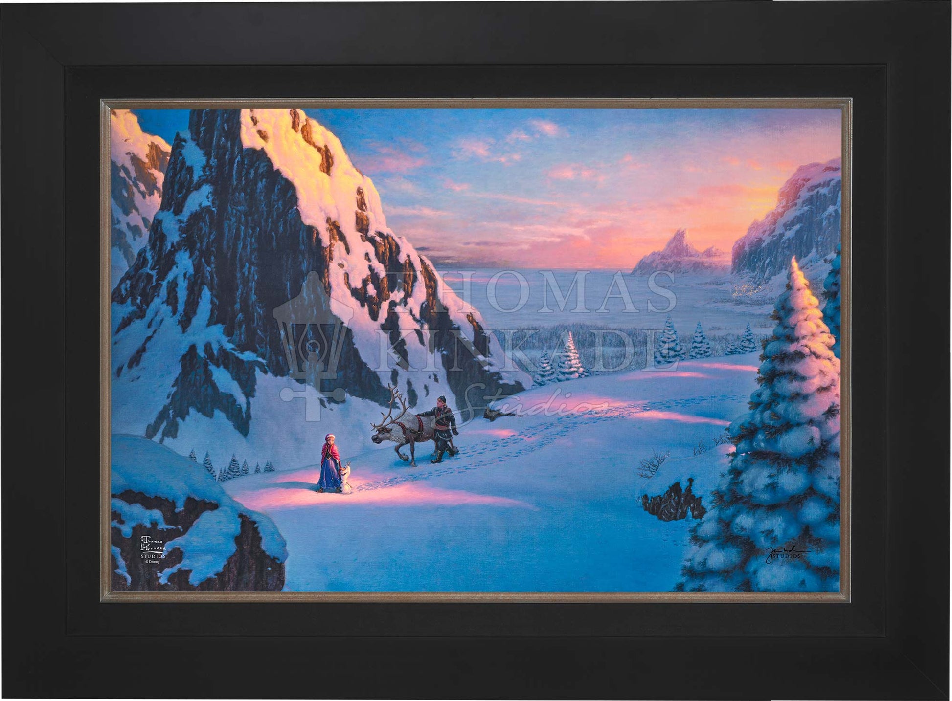 canvas_frozen_citblk.jpg
