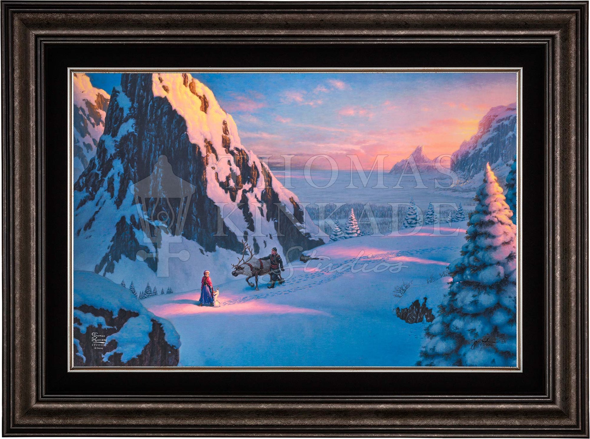 canvas_frozen_drkptr.jpg