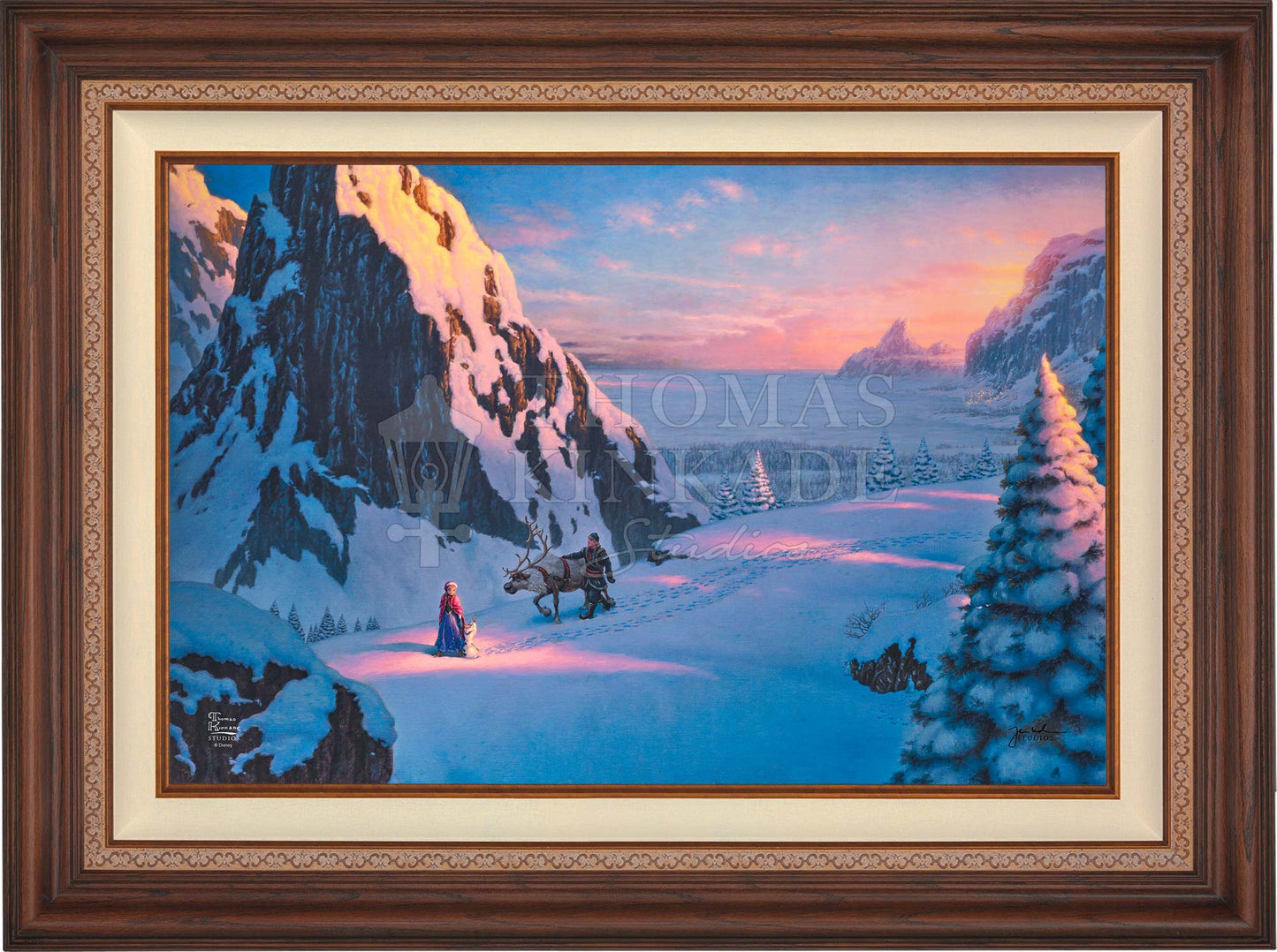 canvas_frozen_drkwal.jpg